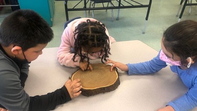 Sister MacNamara - Trees - 1 (Supplied)